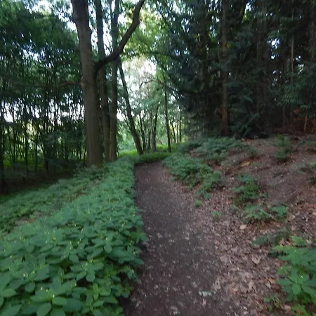 ホテル Garni Haaster Krug Otte Großenkneten